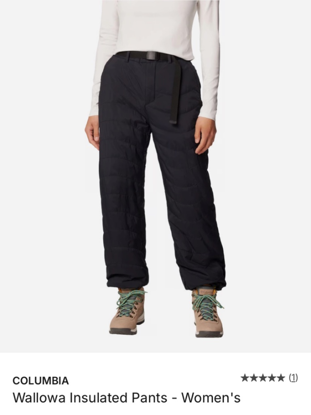 Columbia Wallowa Insulated Hiking Pants in Black (Women’s size 10)